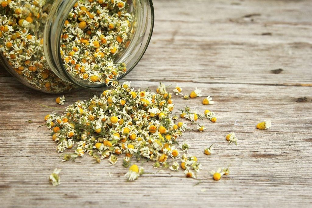 Dried chamomile flowers