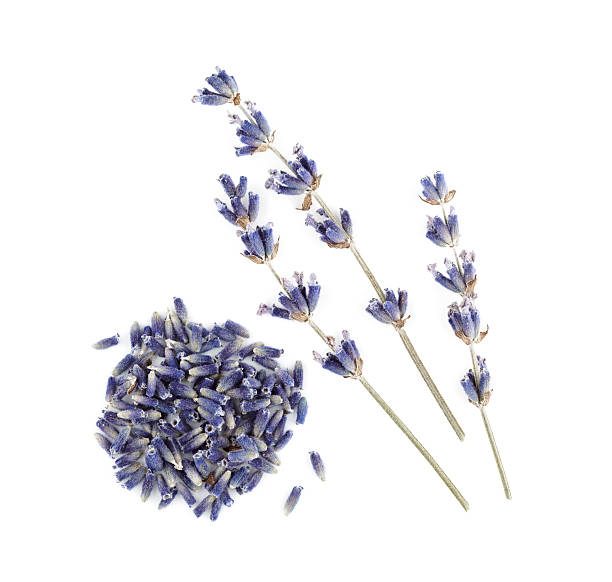 Dried lavender